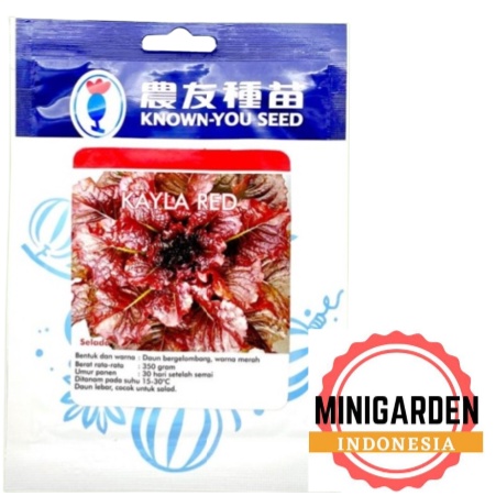 SELADA MERAH KAYLA RED 20 GRAM PACK BESAR bibit benih biji red lettuce lebar f1 hibrida known you seed