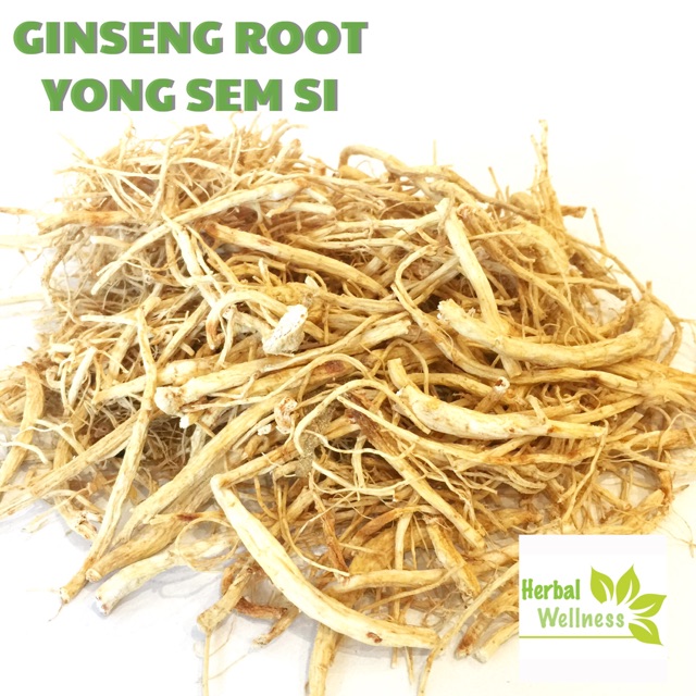 

AKAR GINSENG (Ginseng Root) Yong Sem Si 37gr
