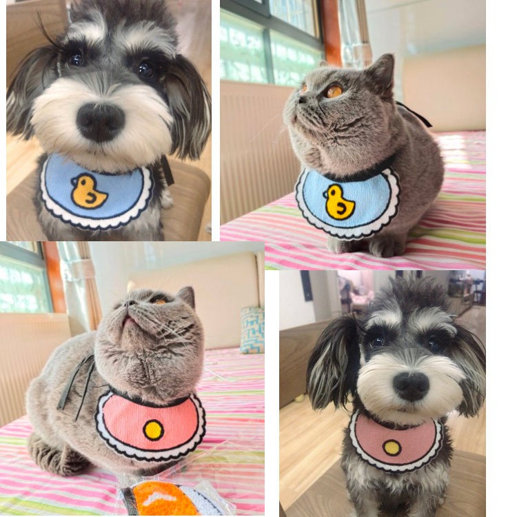 Adjustable Pet Anjing Kucing Air Liur Handuk Renda Dekoratif Bib Tenunan Tangan Anak Anjing Kerah Kucing Syal Syal