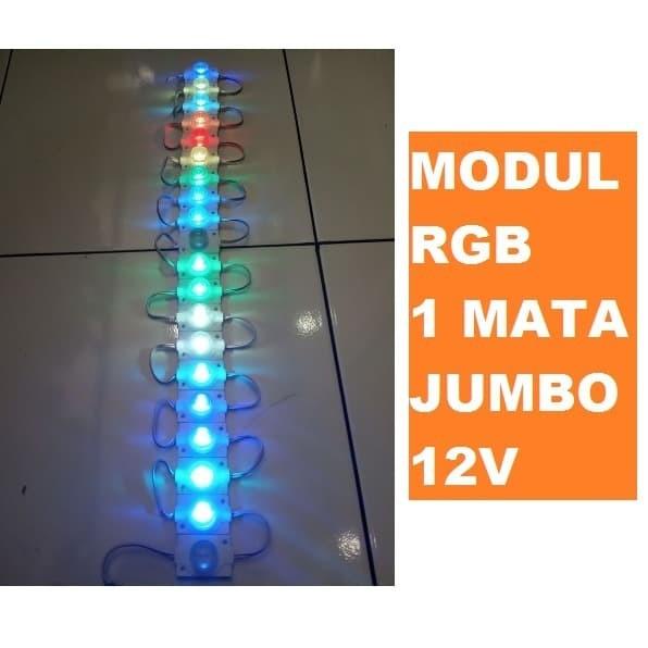 Modul Led Jumbo Rgb 1 Mata 1 Led 12Vdc Waterproof Ip65 1.5W