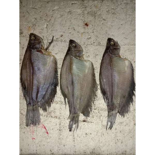 

Ikan Asin Siam Sedang