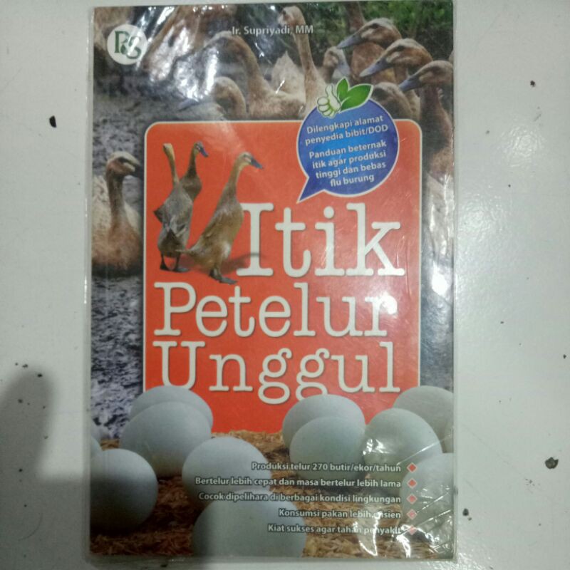 itik petelur unggul