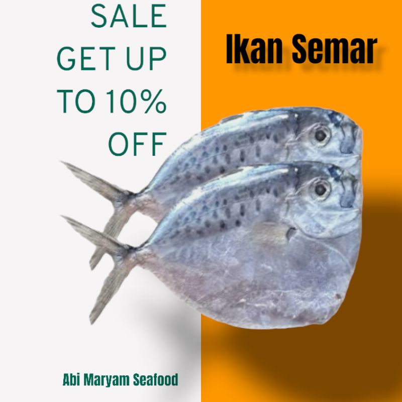 

Ikan Semar Fresh Berkualitas 1 kg