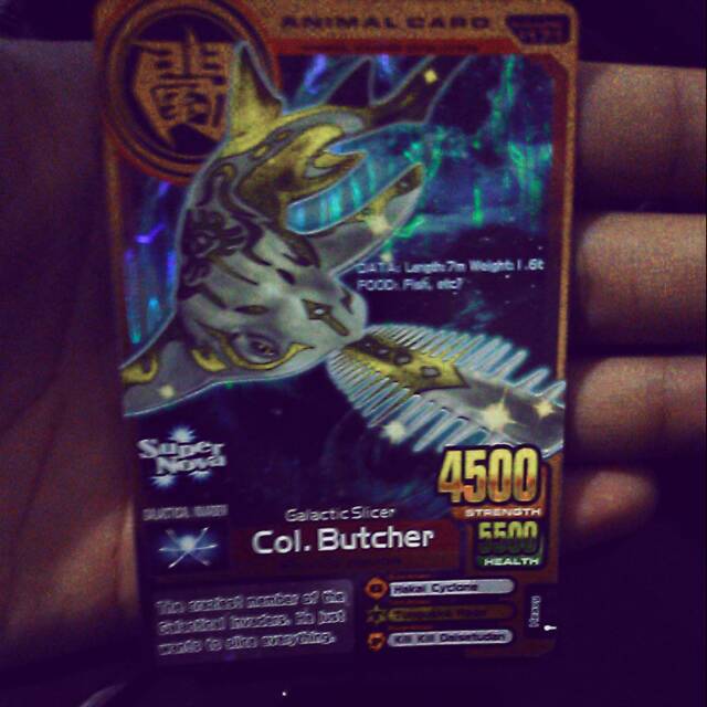 Kartu animal kaiser original