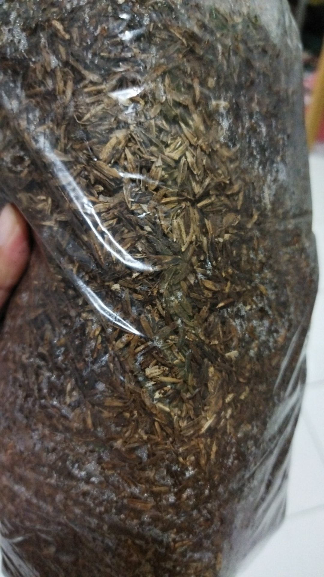 Sekam Mentah Fermentasi 1kg Metan Media Tanam Tanaman Hias Kulit Padi