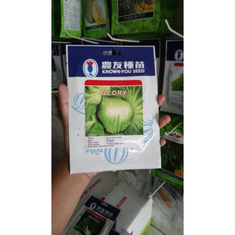 Benih Sawi Pahit GLORY 5GR