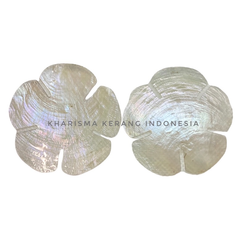 

CAPIZ SHELL FLOWER SHAPE KERANG SIMPING KULIT KERANG CAPIZ CAPIZ SHELLS KULIT KERANG CAPIZ SIMPING