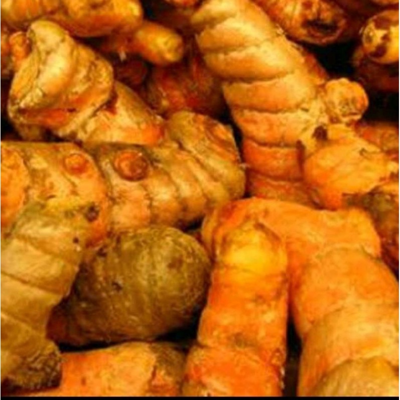 

kunyit fres 500 g