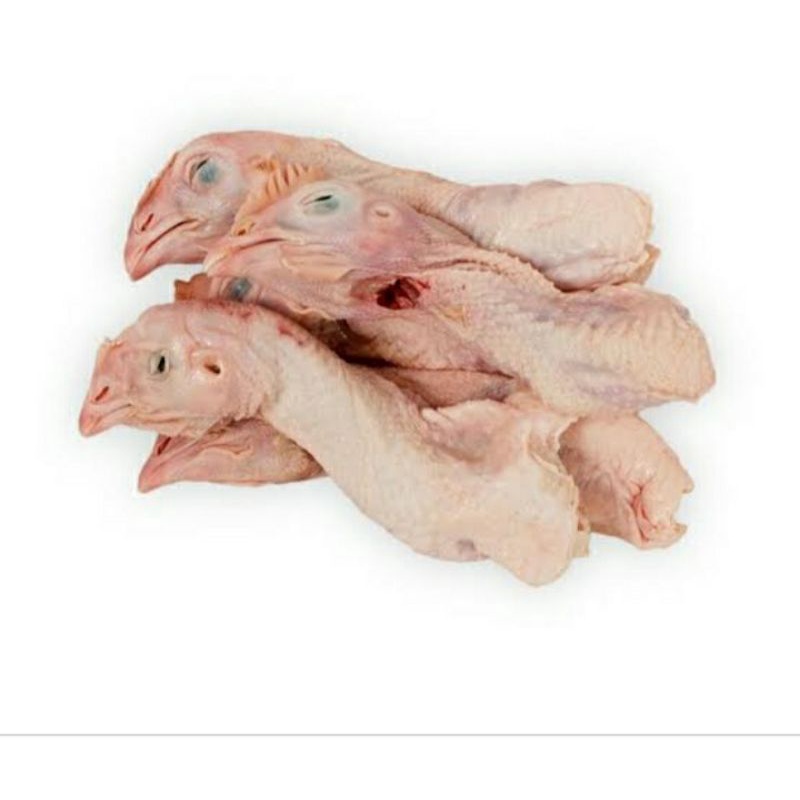 

kepala ayam
