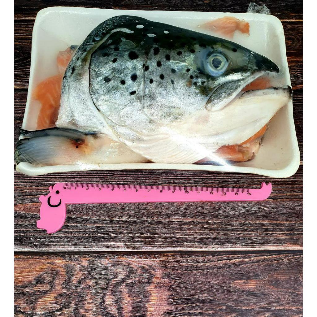 

Kepala Ikan Salmon Fish Head Premium 300gram