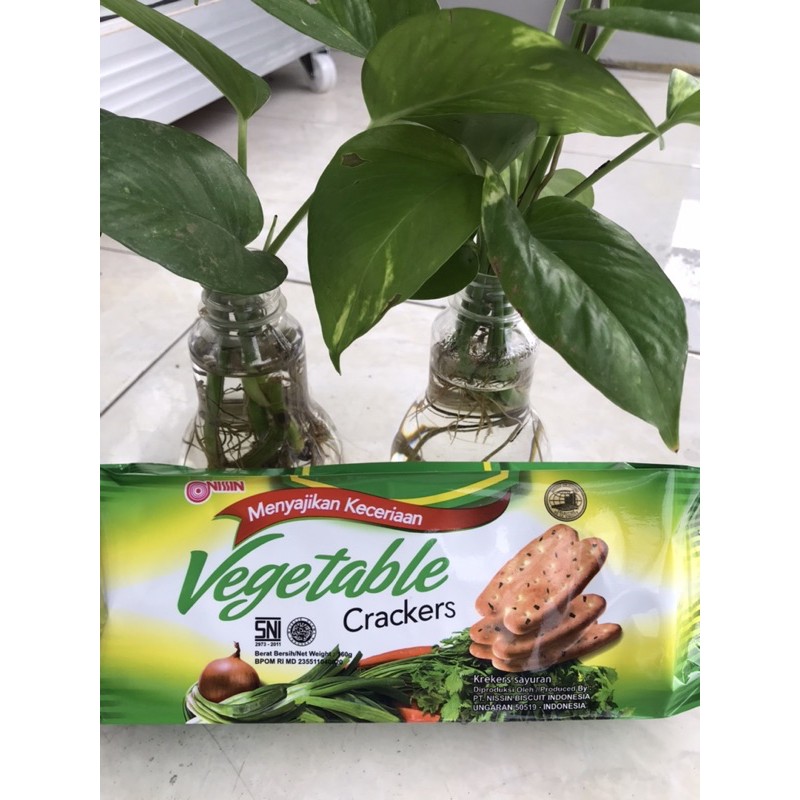 

Nissin vegetable Crackrers 160gram - nissin vegetabel
