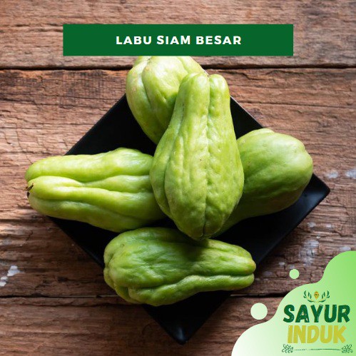 

Sayur Induk - Labu Siam Besar 500 Gram Fresh Grade A