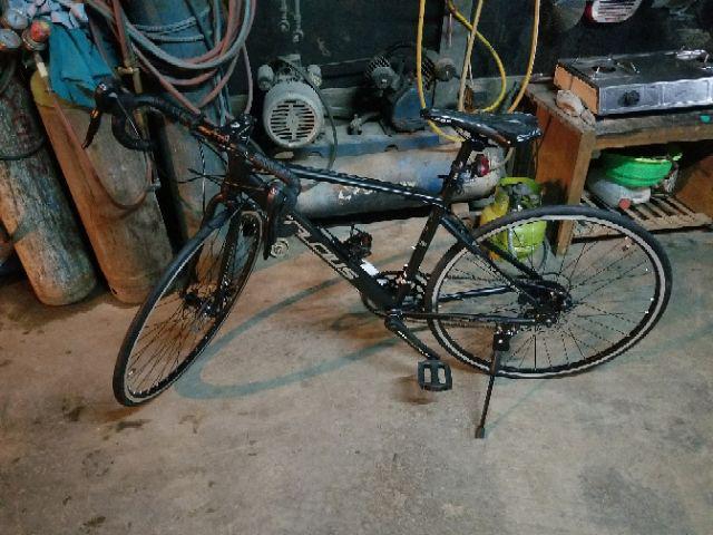  SEPEDA BALAP ROADBIKE 700C CELCIUS LUXE NEW  Shopee Indonesia