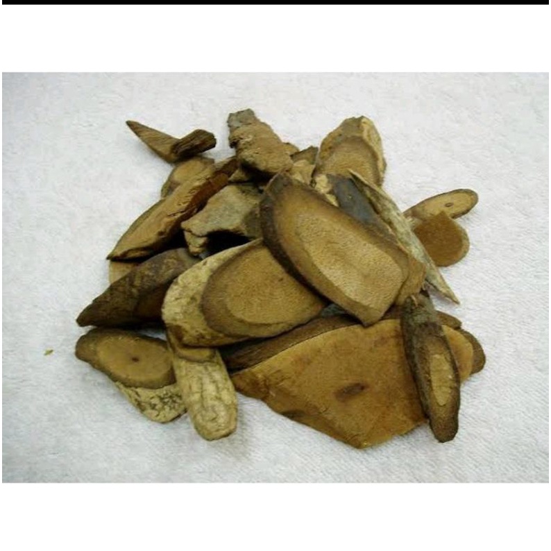 

600 G GR GRAM HAI FENG TENG FUTOKADSURA KADSURA PEPPER STEM STEMS