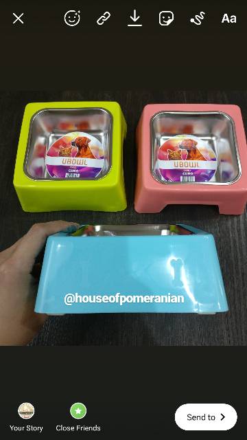 Tempat makan minum hewan anjing kucing. Dog cat single bowl stainless pet dogfood