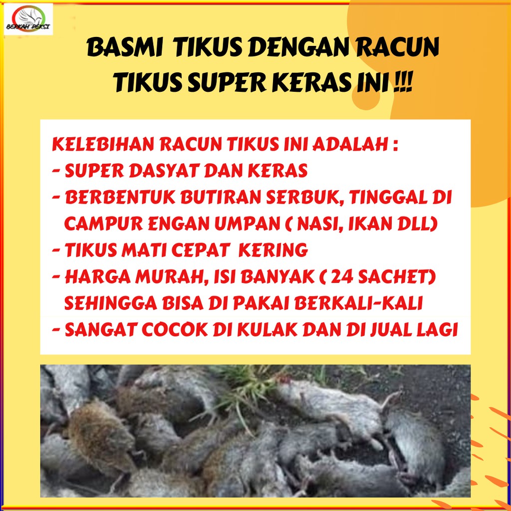 RACUN TIKUS PAKTIWI  AMPUH DIJAMIN ASLI ORIGINAL TIKUS LANGSUNG MATI KERING RACUN
