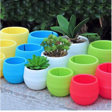 WS0022 GROSIR - Pot Bunga Mini Bahan Plastik Warna Warni / Dekorasi Rumah / Dekorasi Taman