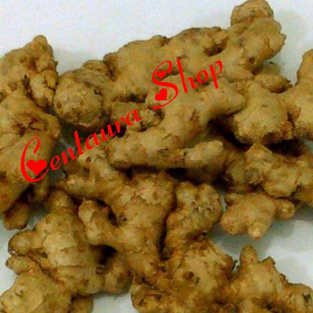 

Jahe Emprit Kwalitas Super Unggul 250gr