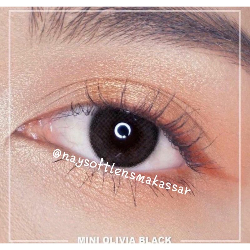 SOFTLENS MINI OLIVIA BLACK // SOFTLENS MAKASSAR