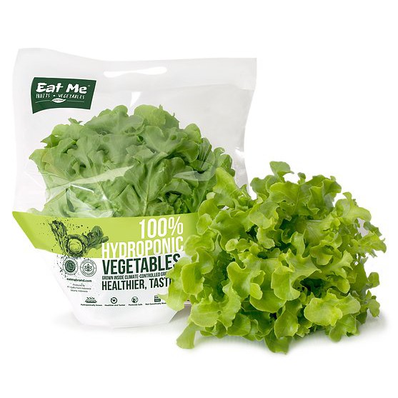 Eat Me Brand - Sayur Salad Green Oakleaf Hidroponik Perpack