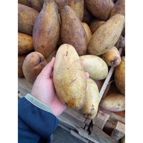 

Buah Kemang