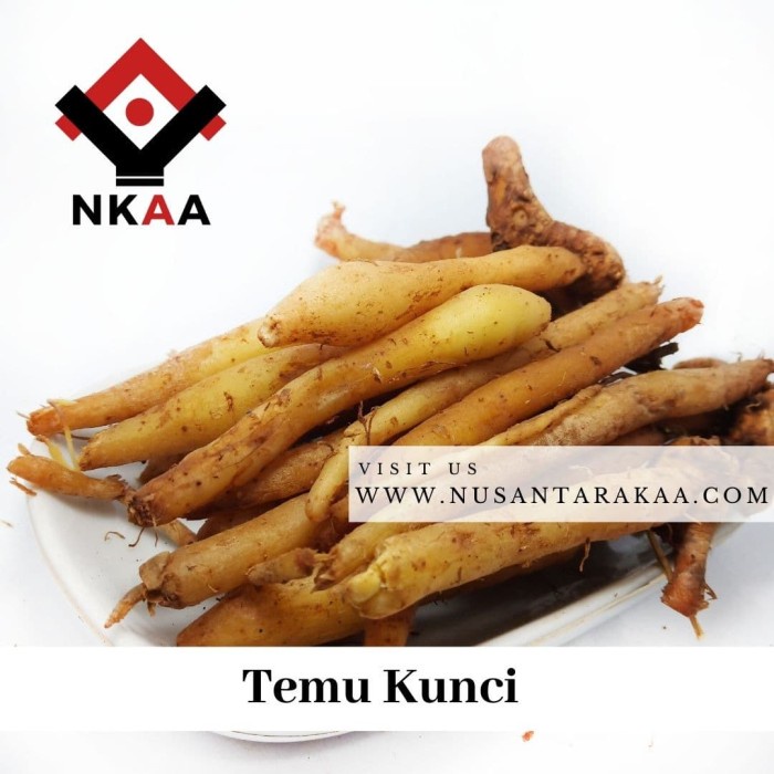 

Temu Kunci 1kg