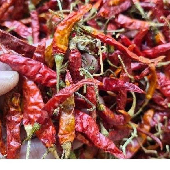 

ボQ Cabe Rawit Teja Kering Pedas 500gr HARGA TERMURAH 3591 ◉