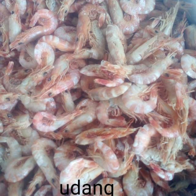 

Udang