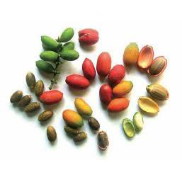 

Melinjo Fresh Papapangan - 250 gram