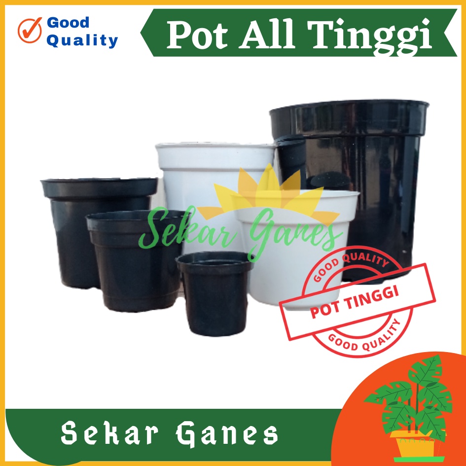 Sekarganes Pot Tinggi 8 10 12 15 18 20 25 Hitam Putih Pot Pirus Tirus Putih 10 12 13 15 18 20 21 24 25 Pot Tinggi Plastik Putih Besar 20 30 50 Cm Besar Murah