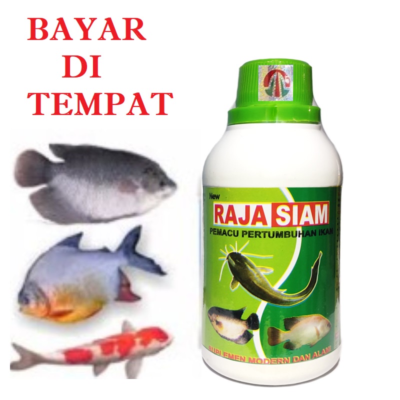 VITAMIN PERTUMBUHAN IKAN LELE GURAME NILA GABUS EMAS MUJAIR BAWAL - RAJA SIAM