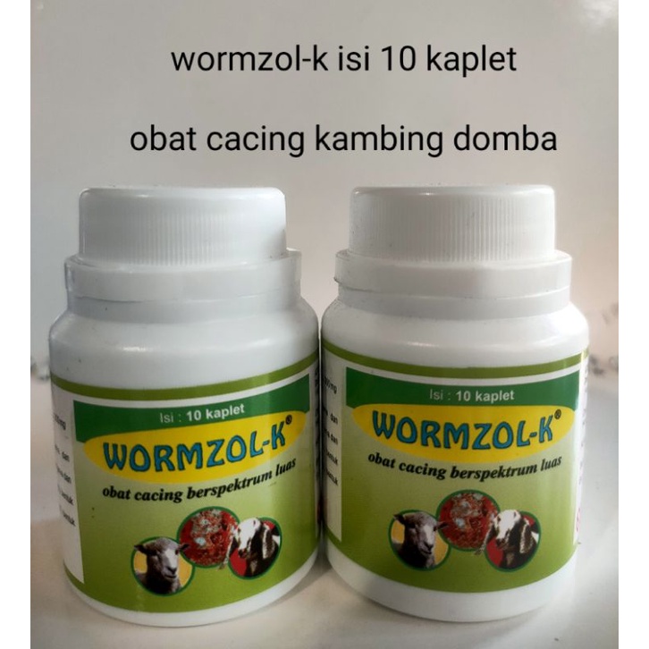 wormzol-k 10 kaplet medion obat cacing kambing