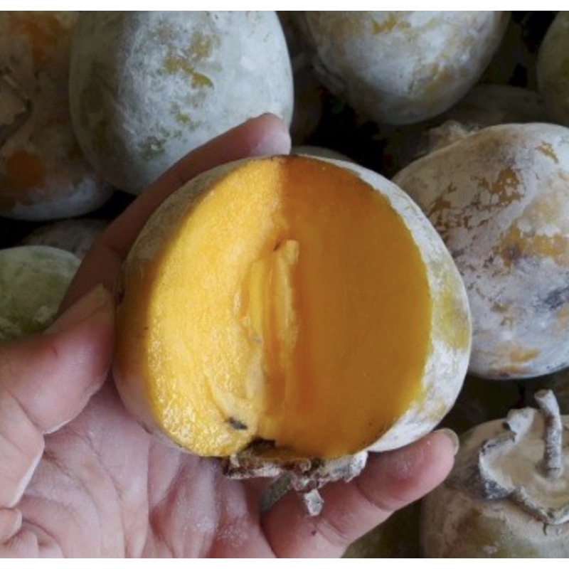 Buah Kesemek Lokal 500gr