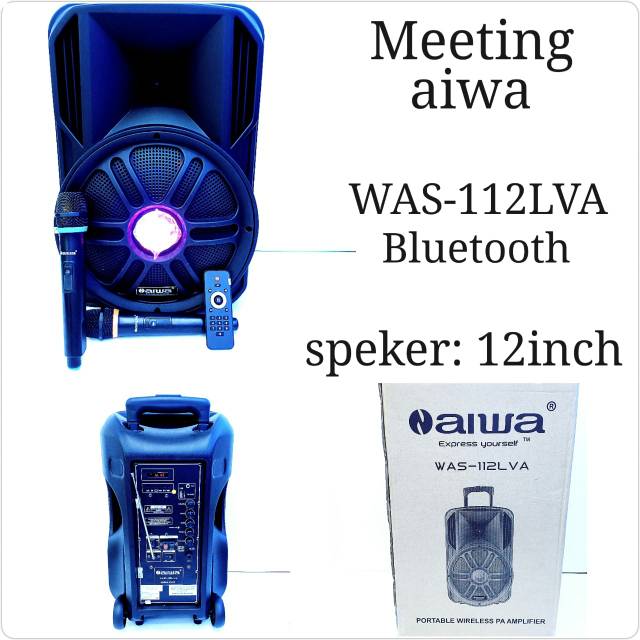 Meeting Aiwa 12"