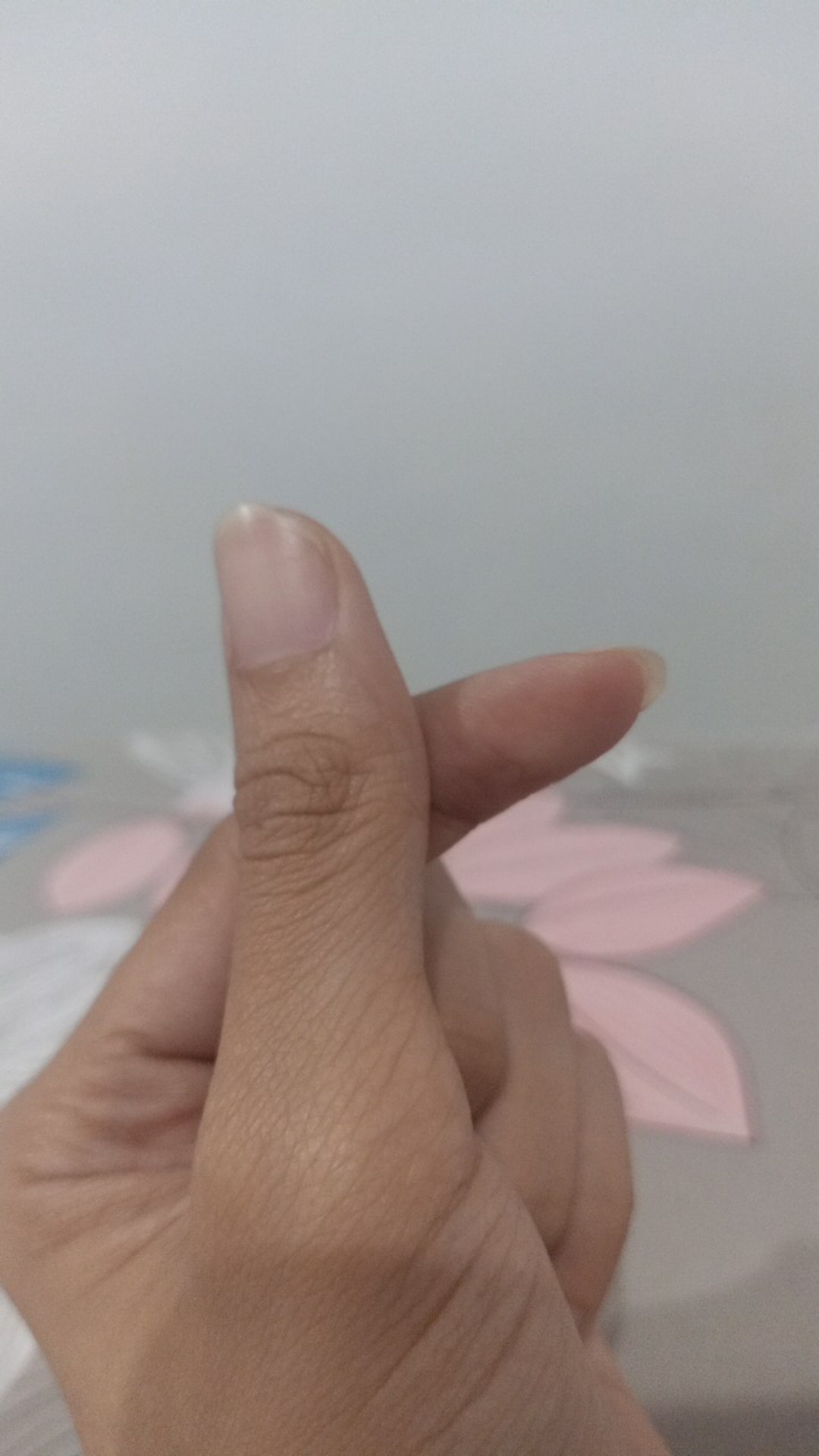 [0176] Hanger Jilbab Hanger Bentuk S