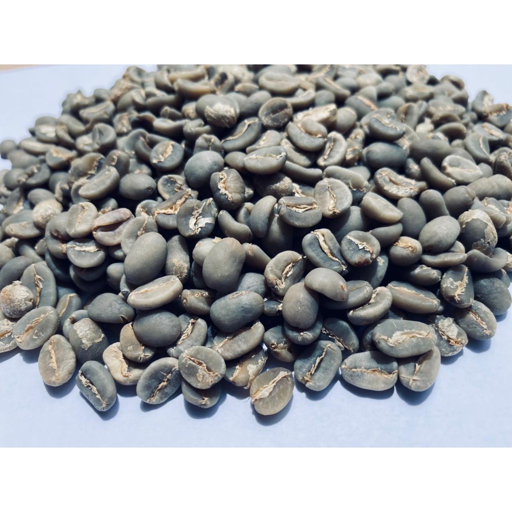 

Malotong Kopi Arabika Toraja Sapan Biji 1kg Specialty Grade 1