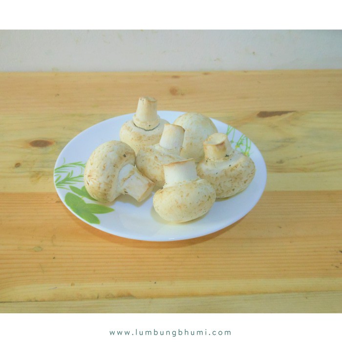 

TERBARU JAMUR CHAMPIGNON / KANCING CEBAN ( SAYUR - SAYURAN CURAH ) !!