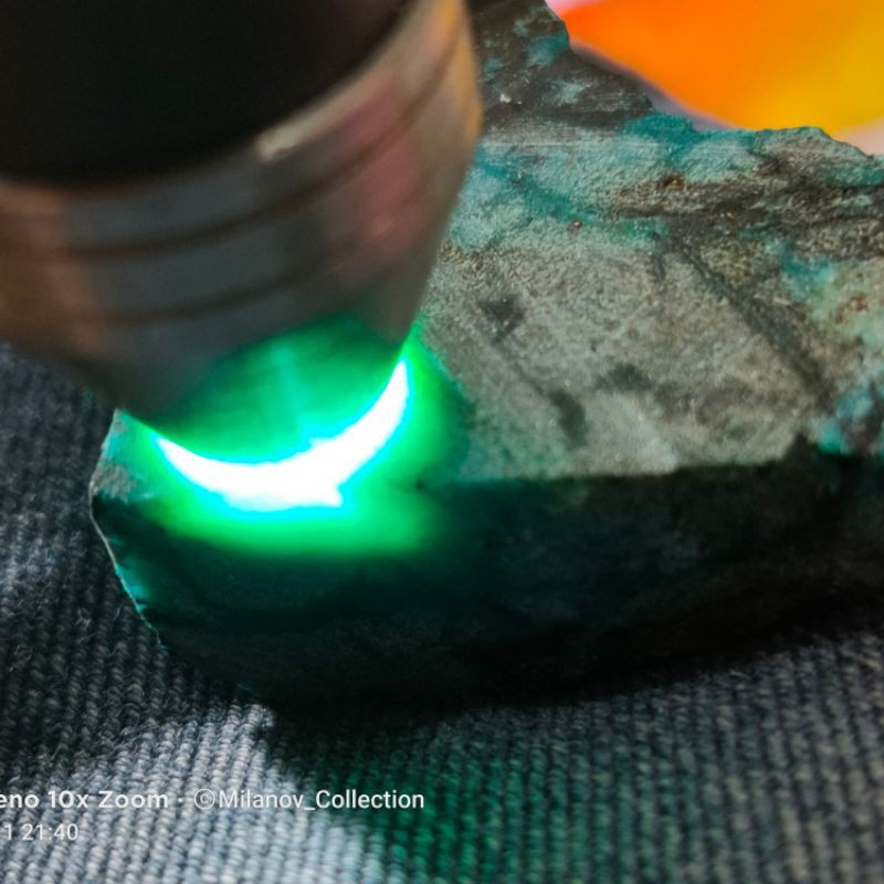 

Bacan palamea coklat jumbo