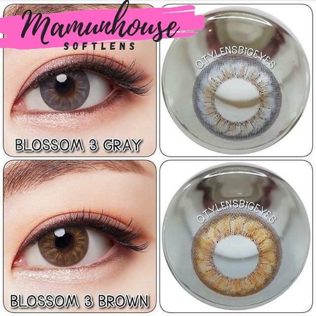 ORIGINAL SOFTLENS BLOSSOM 3CON BROWN / GREY KITTY KAWAI soflens softlenses