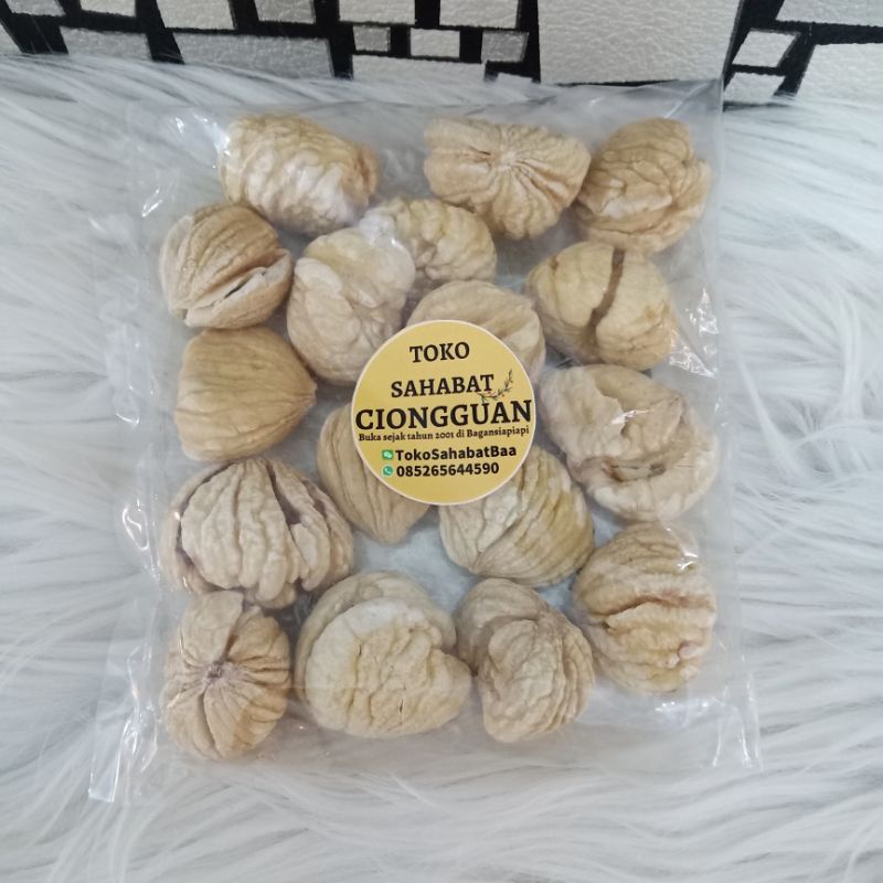 

Latci Kacang Chestnut