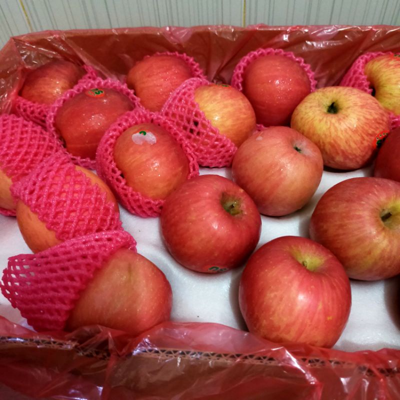 

apel fuji red dragon