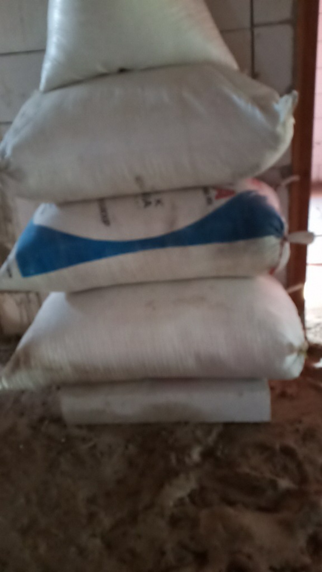 Benih Tanaman Oyong Gambas Biji Buah Bibit Sayur Sayuran Seed Refill