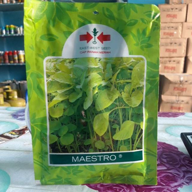Bibit Bayam maestro cap Panah Merah