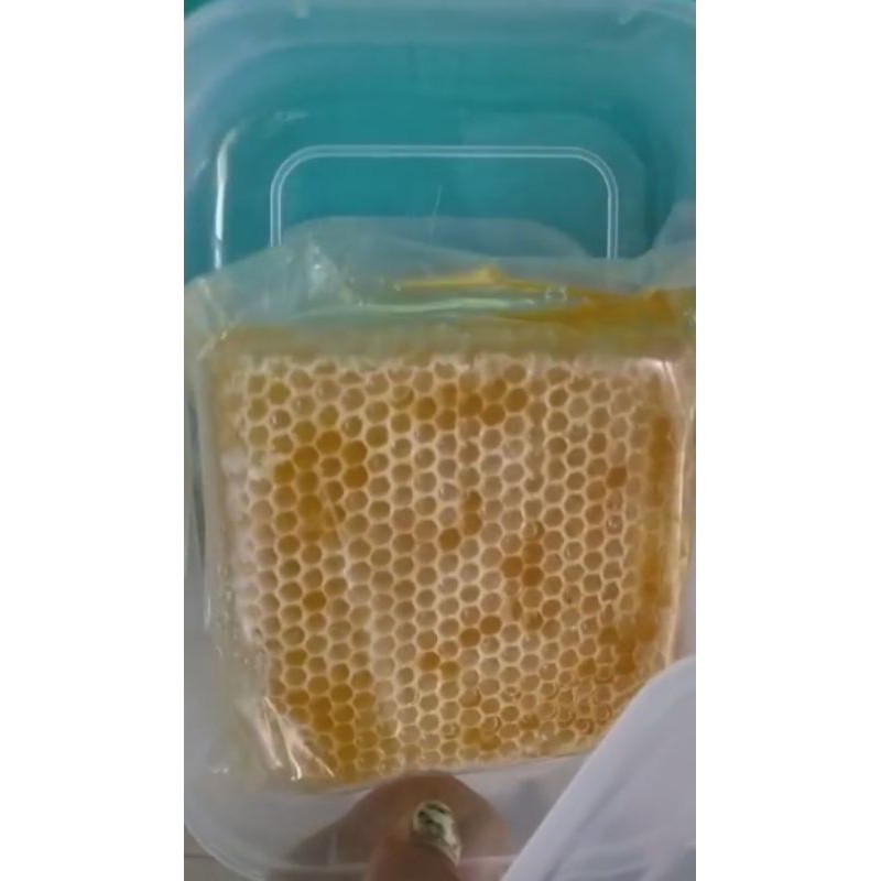 

MADU HUTAN MERY JANE ASLI, SARANG MADU (HONEY COMB) 250 GRAM, DIJAMIN 100%ASLI