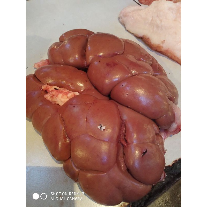 

Ginjal sapi 500 gram / sapi lokal / bandung fresh market
