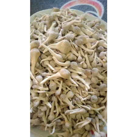 Mpot Ayam Biang utuh