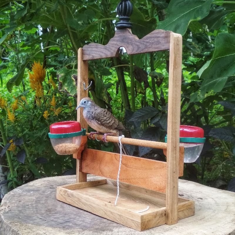 Sangkar Perkutut Layang Tali Kaki Burung