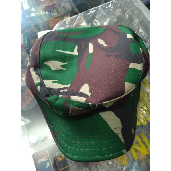 topi pet pdl ori