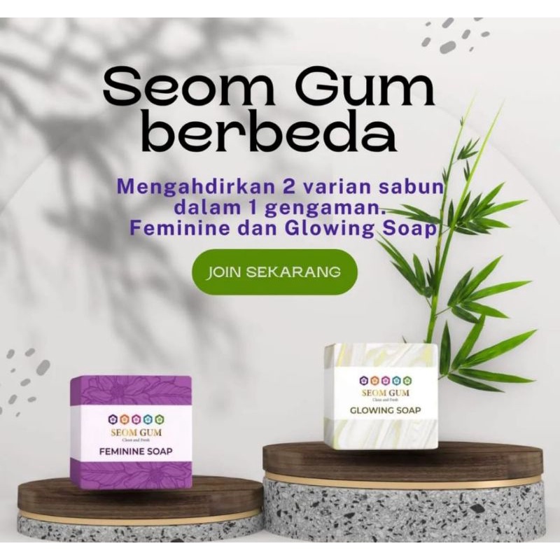 SEOM GUM (paket reseller)
