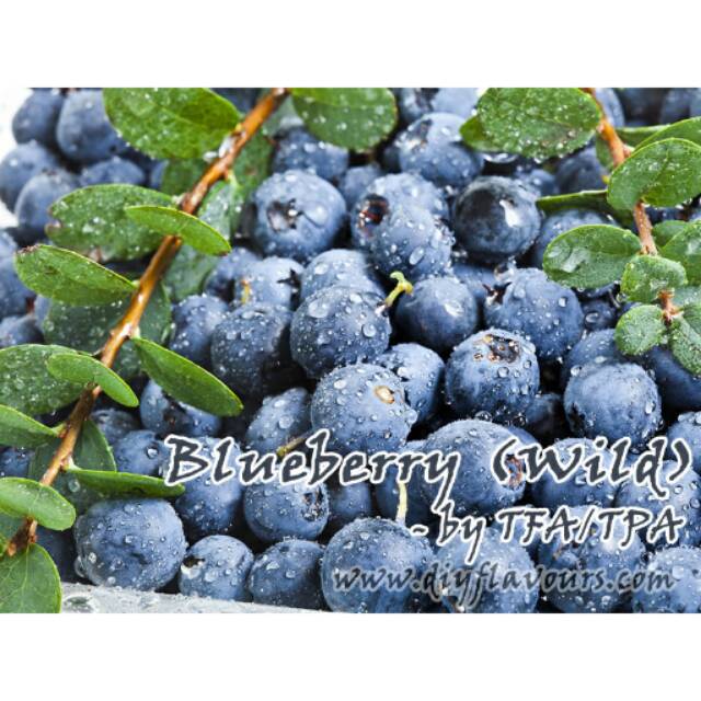 

Essence Import TFA Blueberry (Wild) 1oz